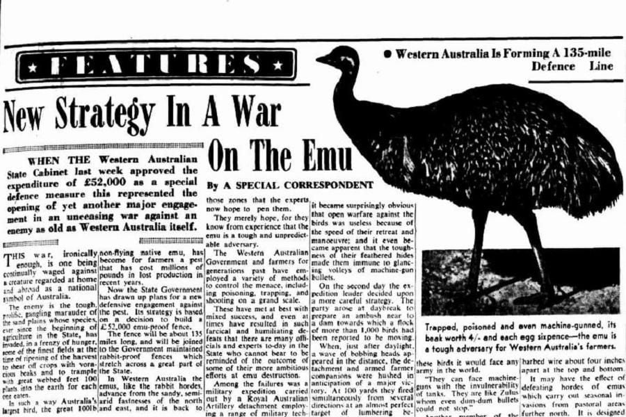 newspaper from the great emu war in australia