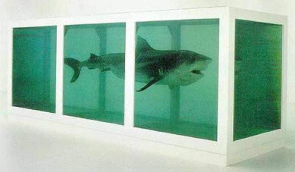 Steve Cohens preserve 14 foot shark