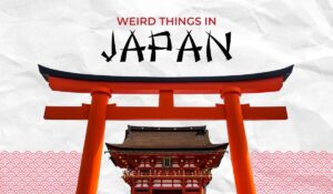 weirdest things in Japan